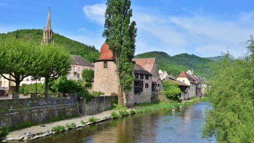 Les Vosges
